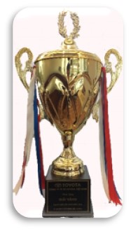 swiper-history-item-image